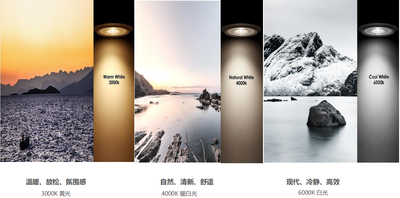 【設(shè)計案例】普照國康醫(yī)藥辦公室項目概念設(shè)計——以空間敘事，筑品牌基因(圖26)