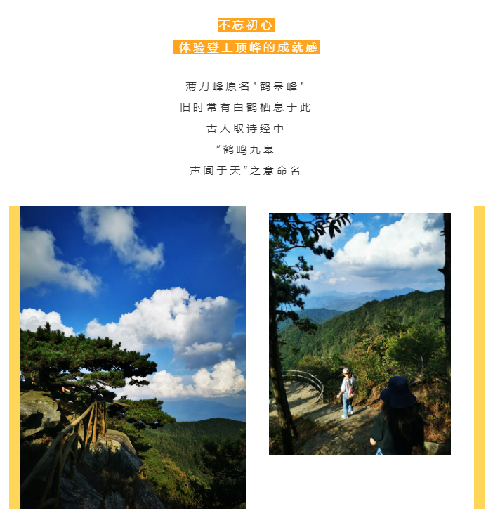 秋天了，來(lái)一場(chǎng)成年人的秋游吧(圖2)