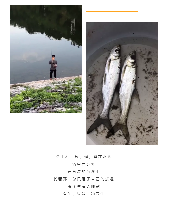 秋天了，來(lái)一場(chǎng)成年人的秋游吧(圖5)